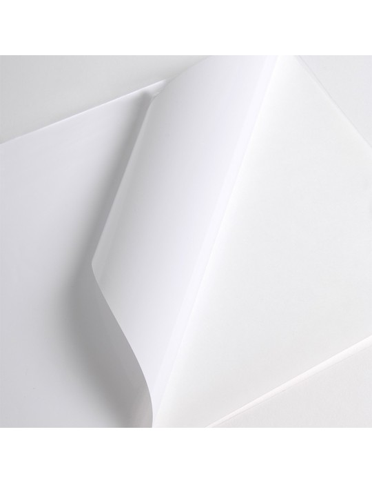 V3001WG - Blanc Brillant adh permanent incolore